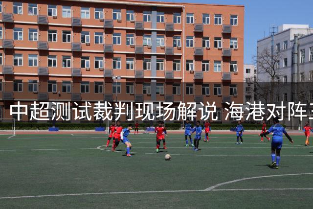 中超测试裁判现场解说 海港对阵三镇遭遇VAR改判