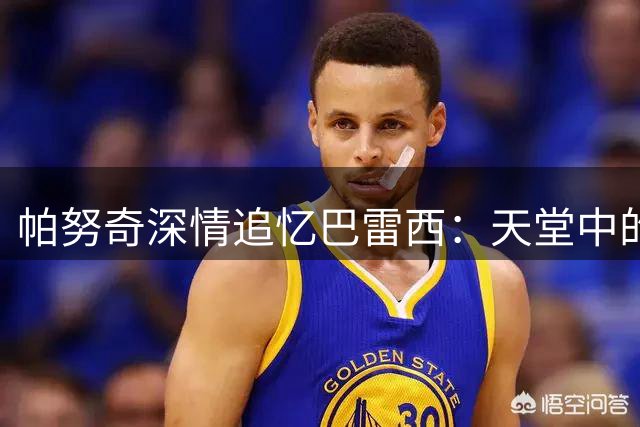帕努奇深情追忆巴雷西：天堂中的足球传奇相聚