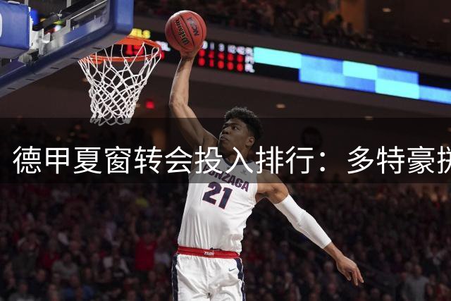 德甲夏窗转会投入排行：多特豪掷过亿居首 沙尔克支出最少