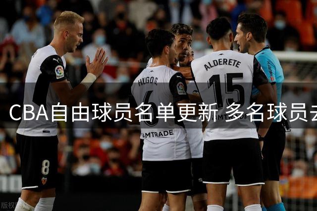 CBA自由球员名单更新 多名球员去向确定