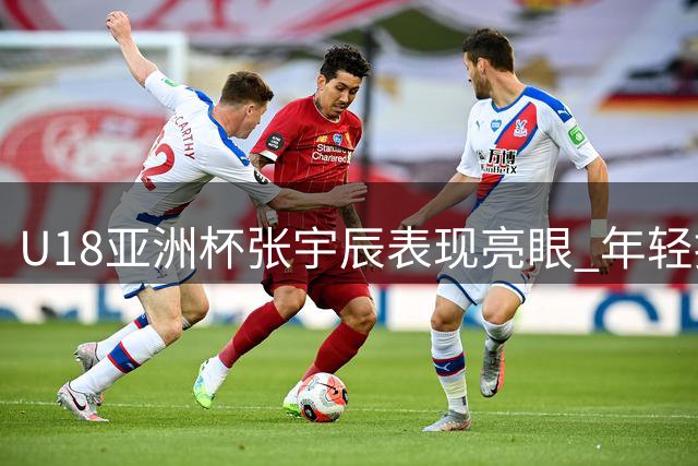 U18亚洲杯张宇辰表现亮眼 年轻控卫效率出众